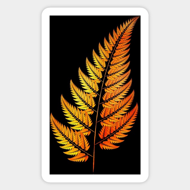 Golden Fern Sticker by GrahamPrentice